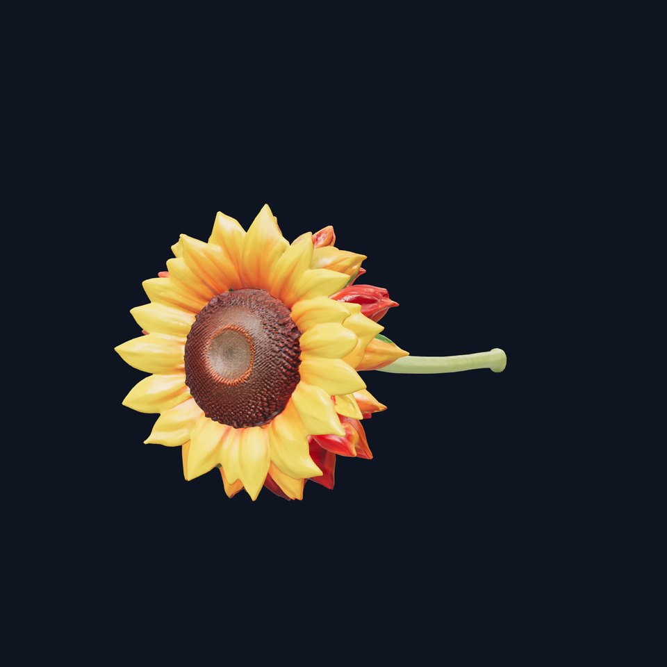Decorative Sunflower Blossom 3D Model Pack